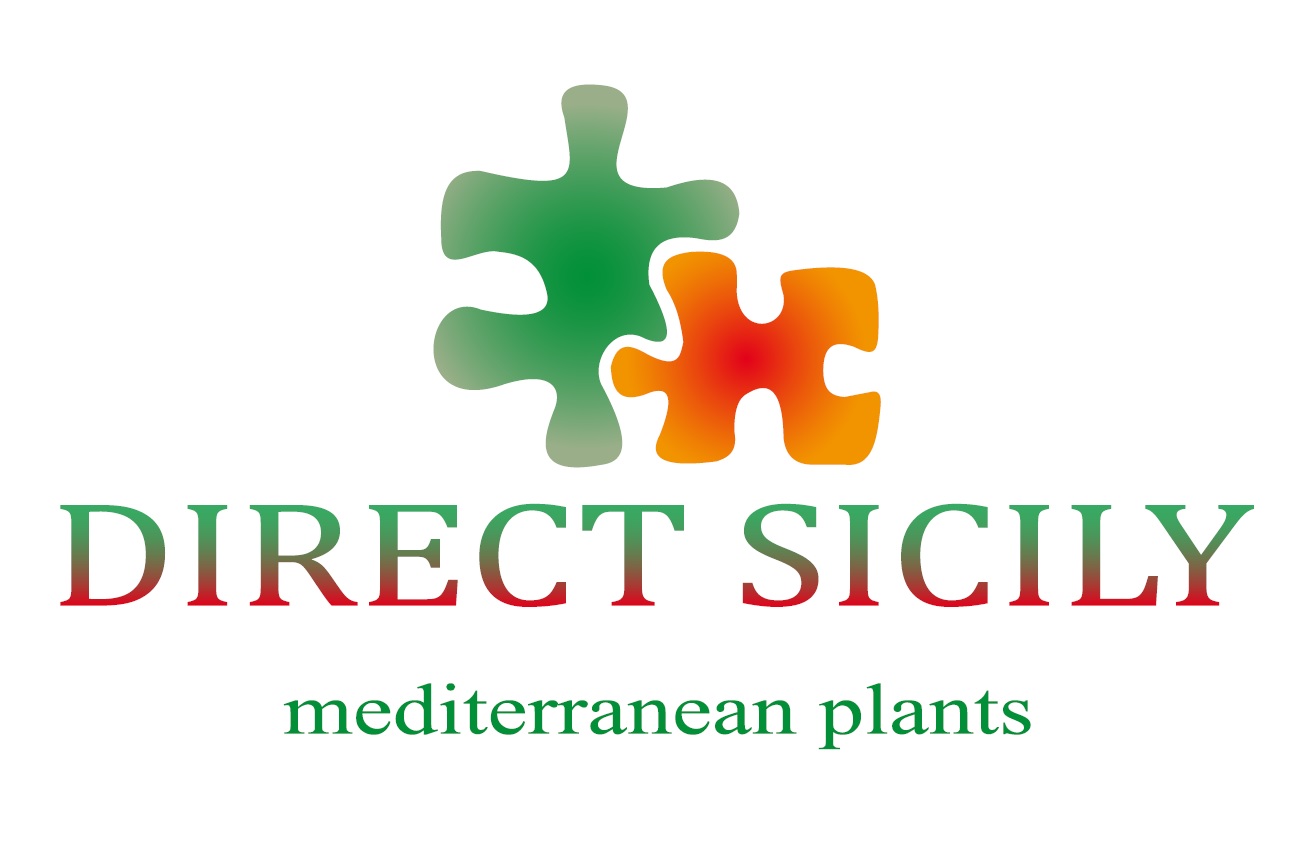 Direct Sicily
